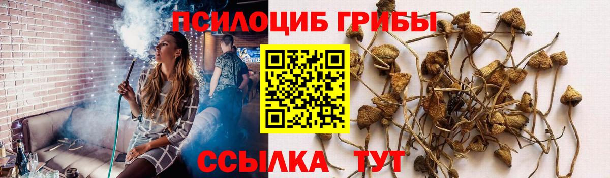Галлюциногенные грибы ЛСД Шатура